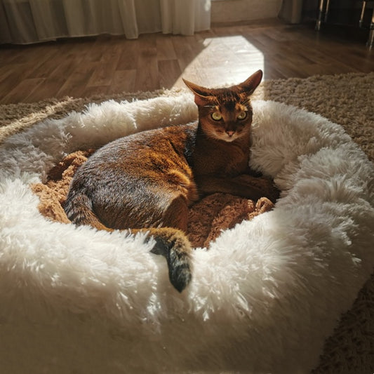 Cat Sleeping Bed