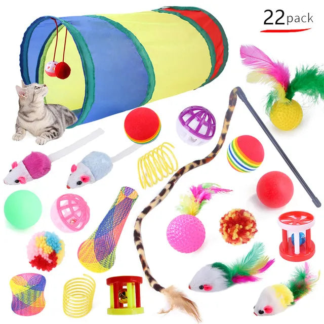 Pets Balls Shapes Toys