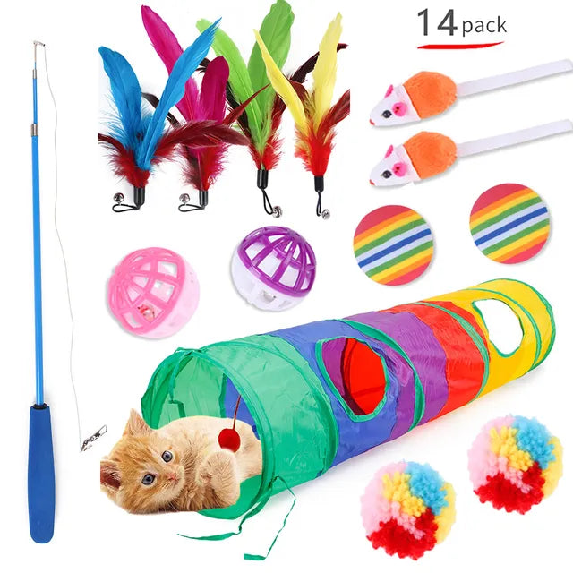 Pets Balls Shapes Toys