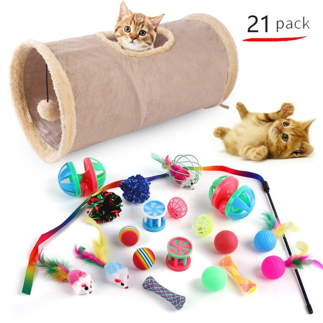 Pets Balls Shapes Toys