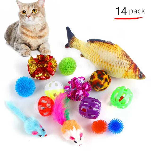 Pets Balls Shapes Toys